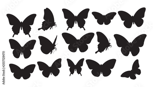 Photography black and white silhouette set of butterfly very high quality vector illustration