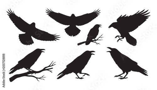 Quadro su tela black and white silhouette set of Crows very high quality vector illustration