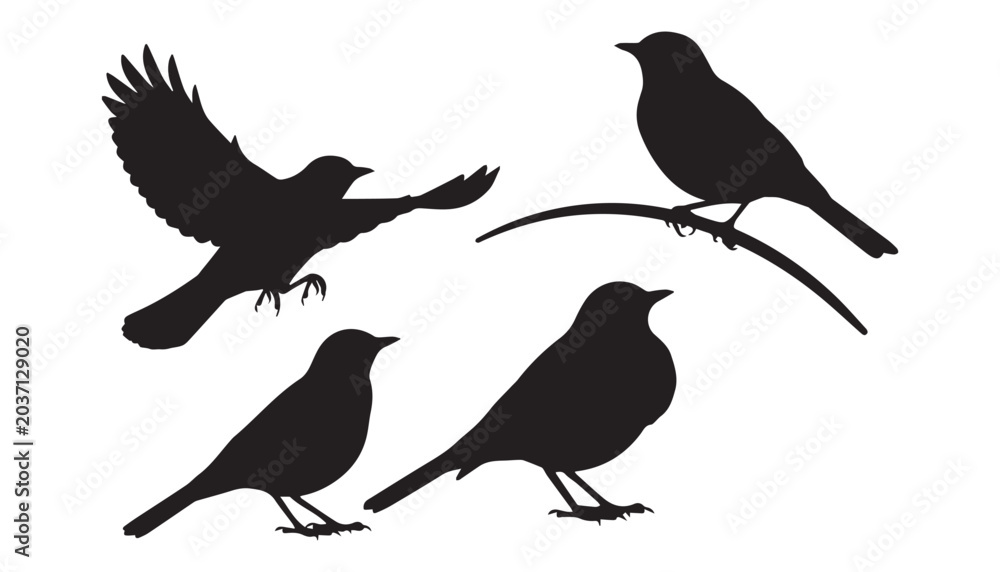 Obraz premium black and white silhouette set of Eurasian bullfinch very high quality vector illustration.