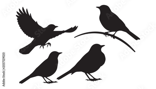 Photos black and white silhouette set of Eurasian bullfinch very high quality vector illustration