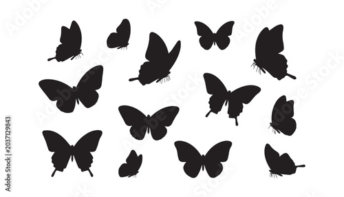 Obraz na plátně black and white silhouette set of butterfly very high quality vector illustration