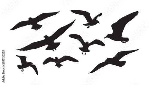 Принти на полотні black and white silhouette set of gull bird very high quality vector illustration