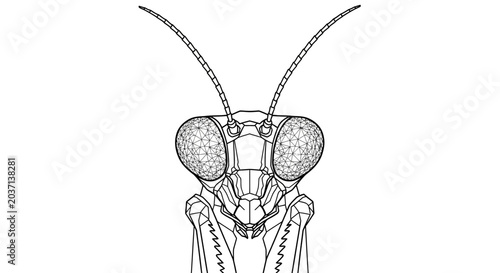 Quadro su tela Praying Mantis Head Close-up Line Drawing, Insect Anatomy, Minimalist Art