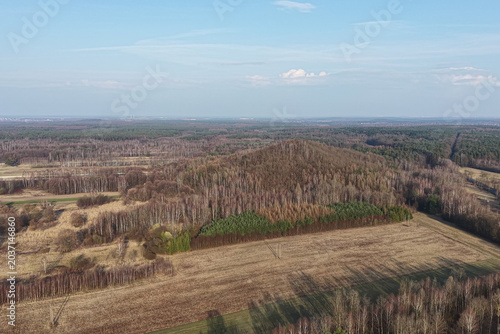 Fotografie Wide shot of greening fields and distant trees