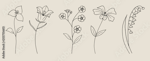 Canvastavla Minimalist aesthetic wild flower line art vector set