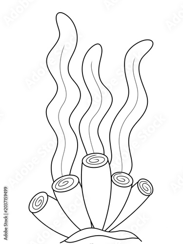 digital hand draw for coloring page seaweed