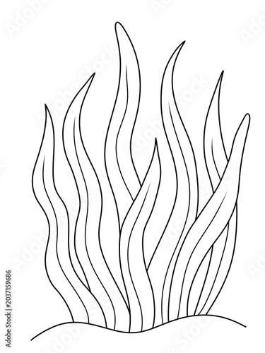 digital hand draw for coloring page seaweed