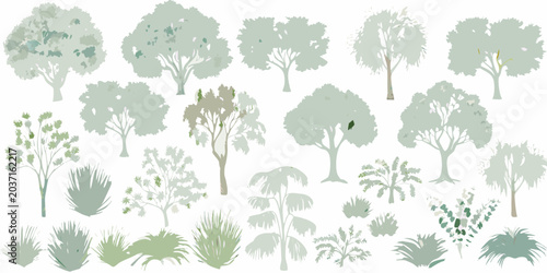Photos Variety Of Tree Elevations Vector Illustration With Pale Green Tones
