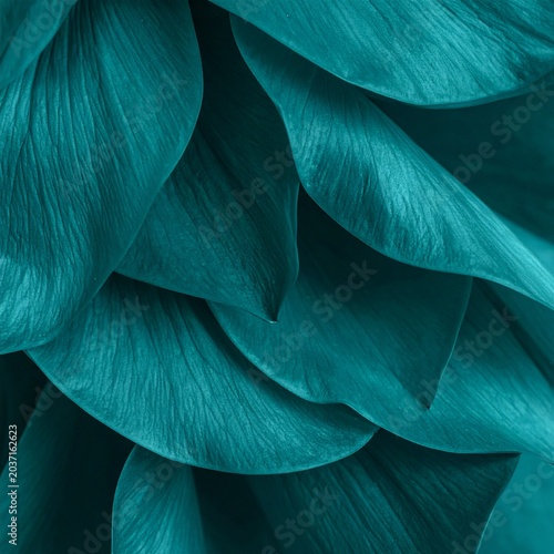 Deep Teal Abstract Botanical Macro Collection — Turquoise Leaf Texture Luxury Nature Background