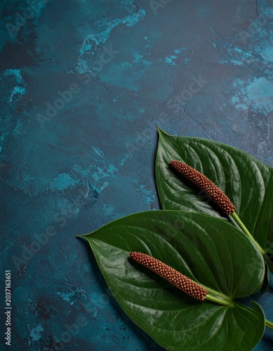 Deep Teal Abstract Botanical Macro Collection — Turquoise Leaf Texture Luxury Nature Background