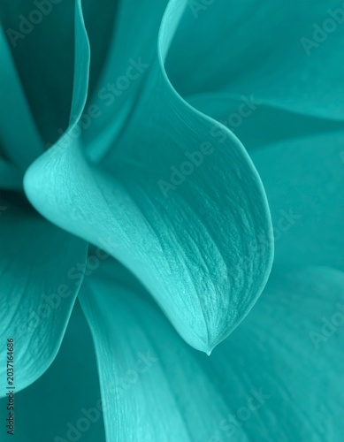 Deep Teal Abstract Botanical Macro Collection — Turquoise Leaf Texture Luxury Nature Background