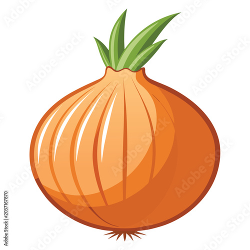 Hand-drawn red onion vector illustration, bold outlines, detailed organic texture, vintage vegetable art style, isolated on dark blue background, colorful flat design, fresh farm produce illustration
