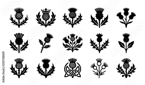 Bild auf Leinwand Thistle Black icons set simple vector