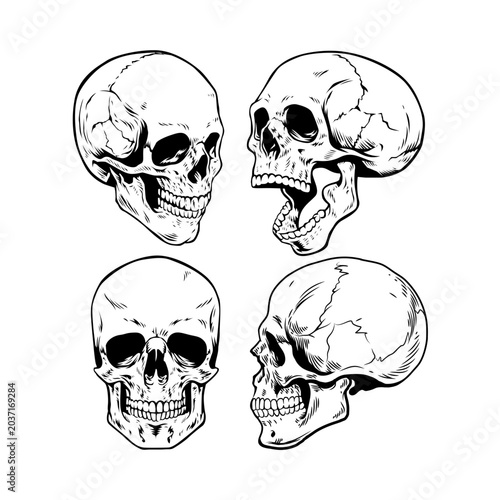 skull and bones