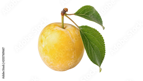 Schilderij op canvas Fresh whole ripe yellow plum fruit with green leaves isolated on transparent bac