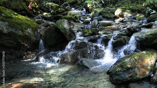 Crystal clear blue water streams, rivers and creeks in the lush green Rainforest of New Zealand Fiordland