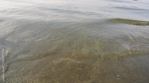Gentle water ripples on freshwater shoreline video
