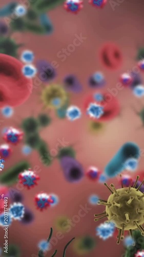 Vertical video: Camera pushing forward, red cells and spiked viruses drifting to show micro flow