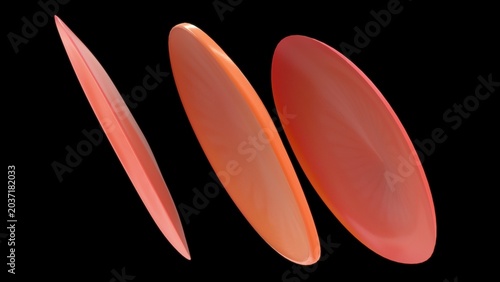 Slika na platnu The eardrum is a thin, trilaminar membrane (about 0