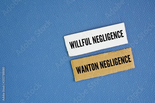 Quadro su tela Two words Types Of Negligence: Willful and Wanton Negligence
