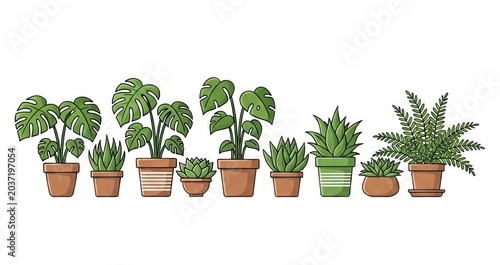 Bring nature home with this charming collection of illustrated indoor plants.