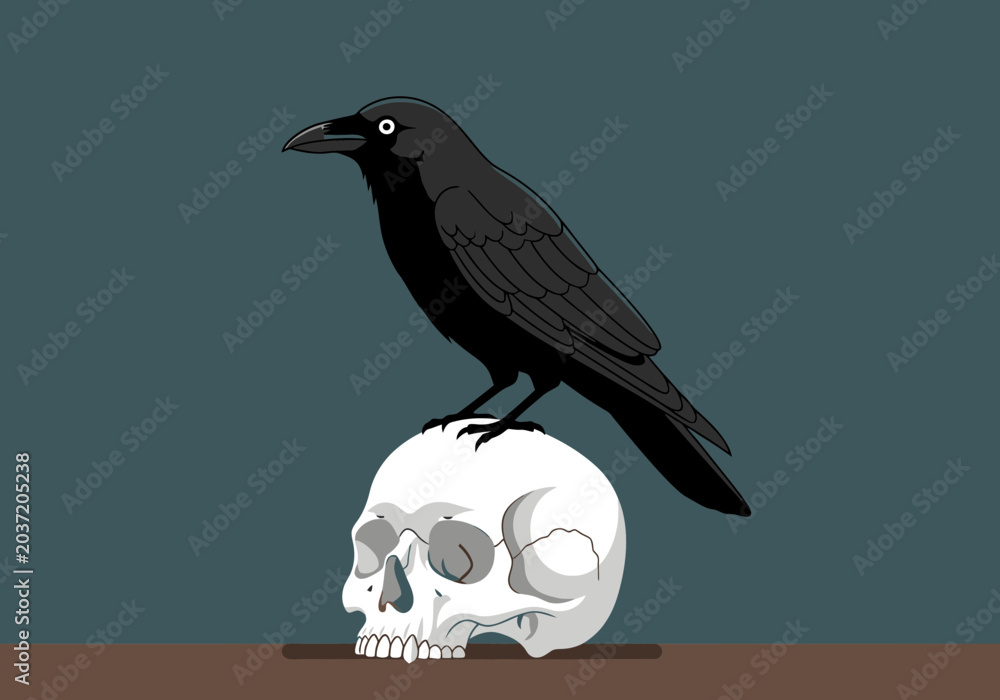 Obraz premium A black crow is perched on top of a white human skull, creating a stark and symbolic image.