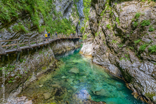 BLED, SLOVENIA, JULY 17, 2024 - View of Vintgar Gorge within Triglav National Park near Bled, Slovenia