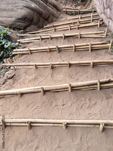 Bamboo Stairway on Sandy Mountain Trail