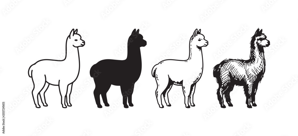 Fototapeta premium Four unique alpaca illustrations presented in different black and white artistic renditions: minimalist outline, bold silhouette, detailed, and textured sketch.