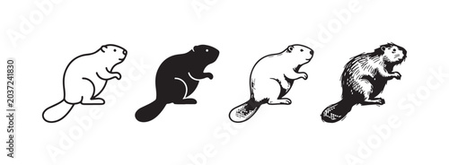 Canvastavla Standing Beaver Icon Set (Side View): Outline, Solid, Detailed, and Sketchy Blac