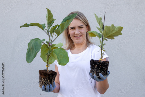 Fényképezés Woman standing outdoors holding two healthy young eggplant seedlings in her glov