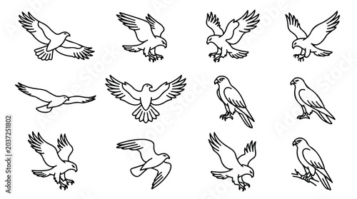 Foto Minimalist eagle line art icons, set of 12 flying hawk and falcon vector illustr
