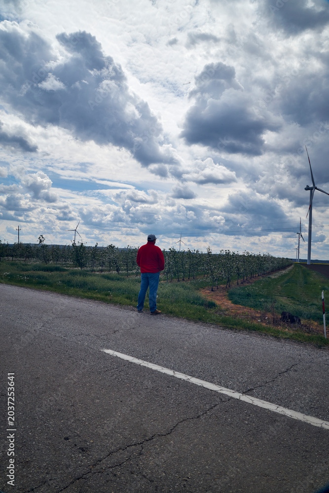 Obraz premium Adult man standing in a rural agricultural field observing wind turbines under a dramatic cloud-filled sky. Concept of renewable energy, sustainability, clean power generation, energy transition