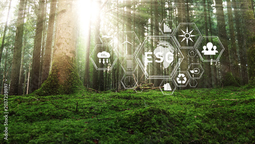 ESG eco icons in magic sunny forest. 