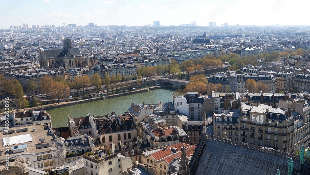 Fototapeta premium Paris skyline over Seine and rooftops with spring trees and distant landmarks
