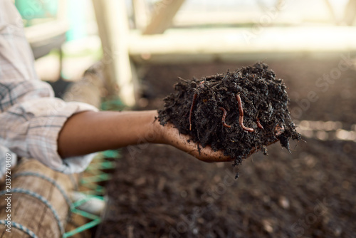 фотографія Farmer, hands or soil with worms for nutrition, quality control or biodiversity on farm