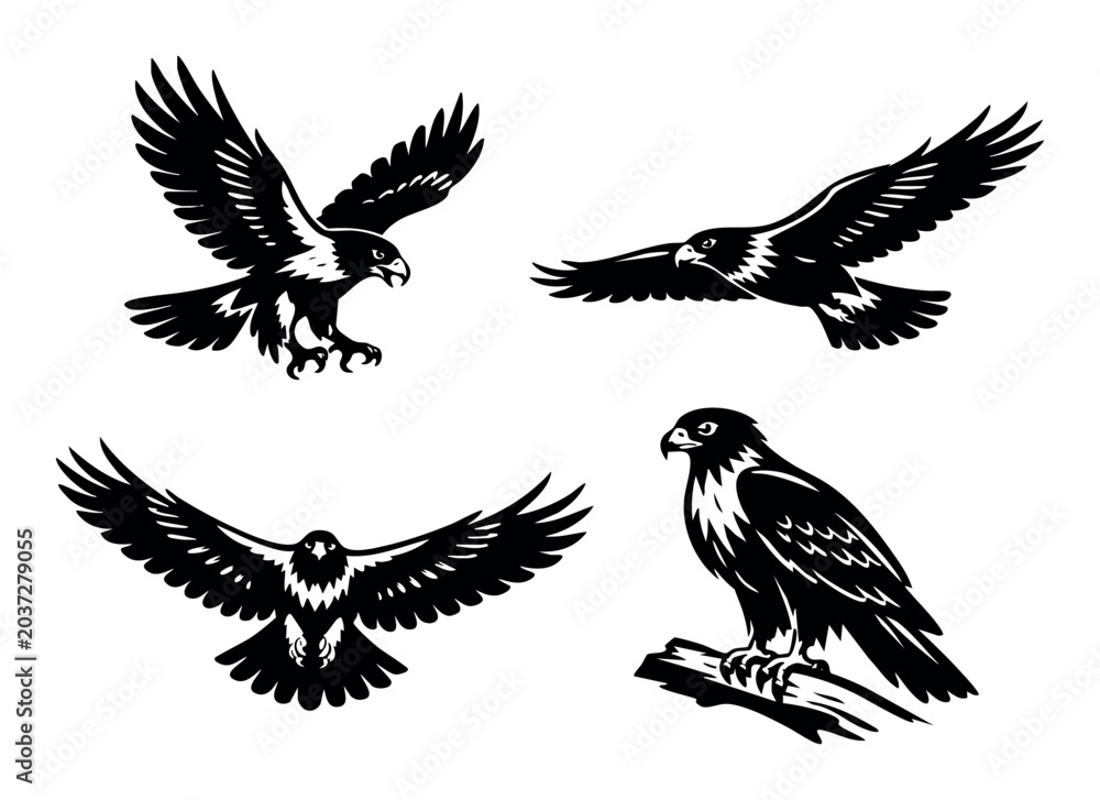 Obraz premium Birds of prey in various dynamic poses: soaring, landing, spreading wings, and resting on a branch, in a vector flat design style