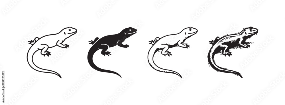 Fototapeta premium Four lizard illustrations in a row, each showing a side profile with an elongated tail, rendered in styles ranging from simple line art to intricate textured shading.