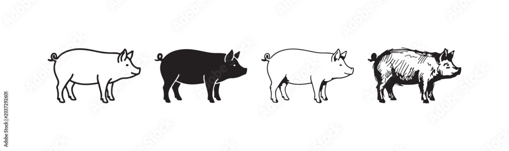 Obraz premium Collection of pig illustrations in various styles: linear outline, solid fill, and intricate hand-drawn artistic sketches on white.