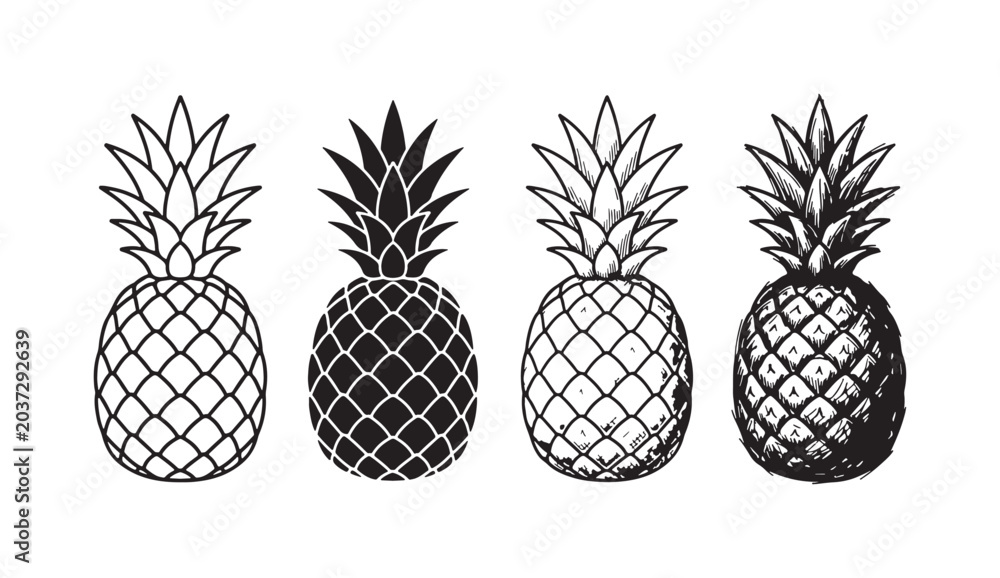 Obraz premium Four distinct pineapple fruit illustrations in line art, solid black silhouette, and two detailed hand-drawn sketch styles.