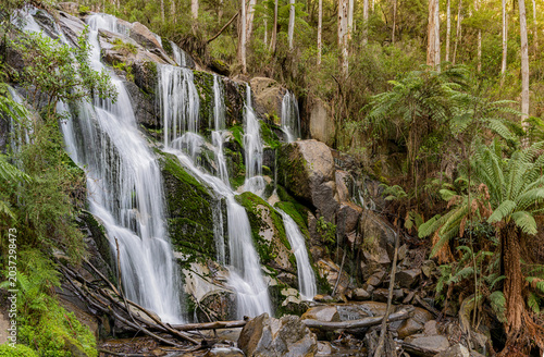 Toorongo Falls, Noojee, Victoria, Australia