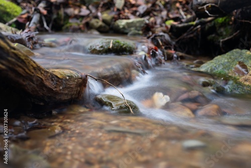 Shallow stream current flow over tree root of nearby tree forming small cascade close up, there is small twig in creek with water drop on it, calm scene