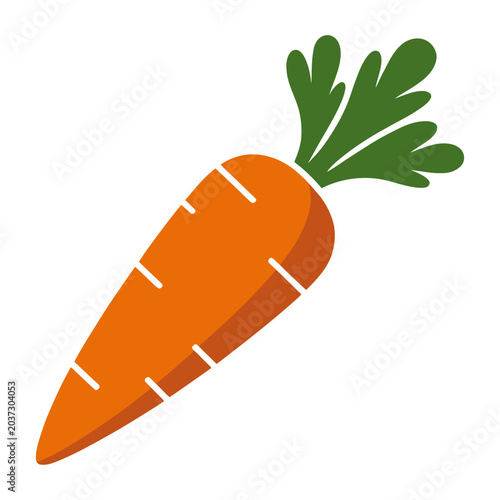 Fresh organic carrot with green leaves flat design vector