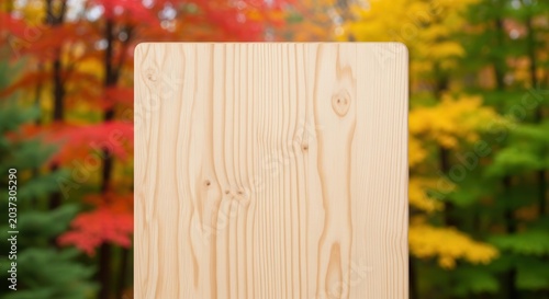 Blank wooden board sign with colorful autumn forest background.