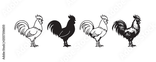 Four rooster icons in various artistic styles: outline, silhouette, line art, and detailed sketch, isolated on white.