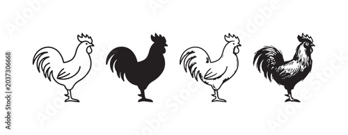 Four rooster icons in various artistic styles: outline, silhouette, line art, and detailed sketch, isolated on white.