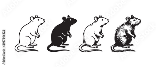 Fotografía Set of Four Rat Icons: Outline, Solid, and Textured Hand-Drawn Styles of a Stand