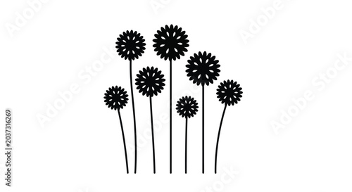 Black dandelion flowers illustration