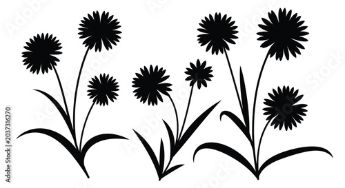 Black dandelion flowers icon set