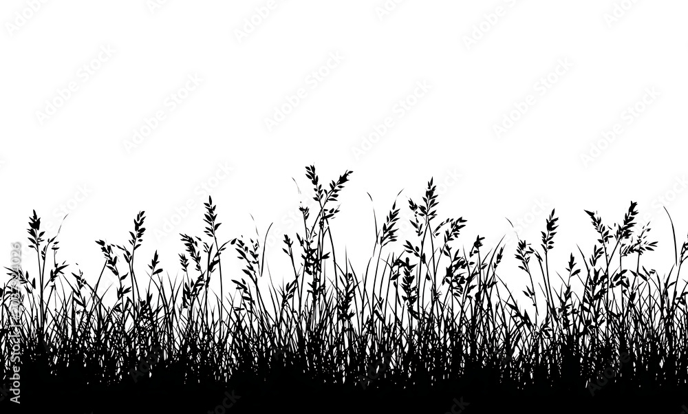 Obraz premium Decorative grass outline with clean line vector design